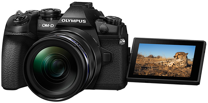 Olympus Event – 1 Std. Theorie und 3 Std. Fotografieren