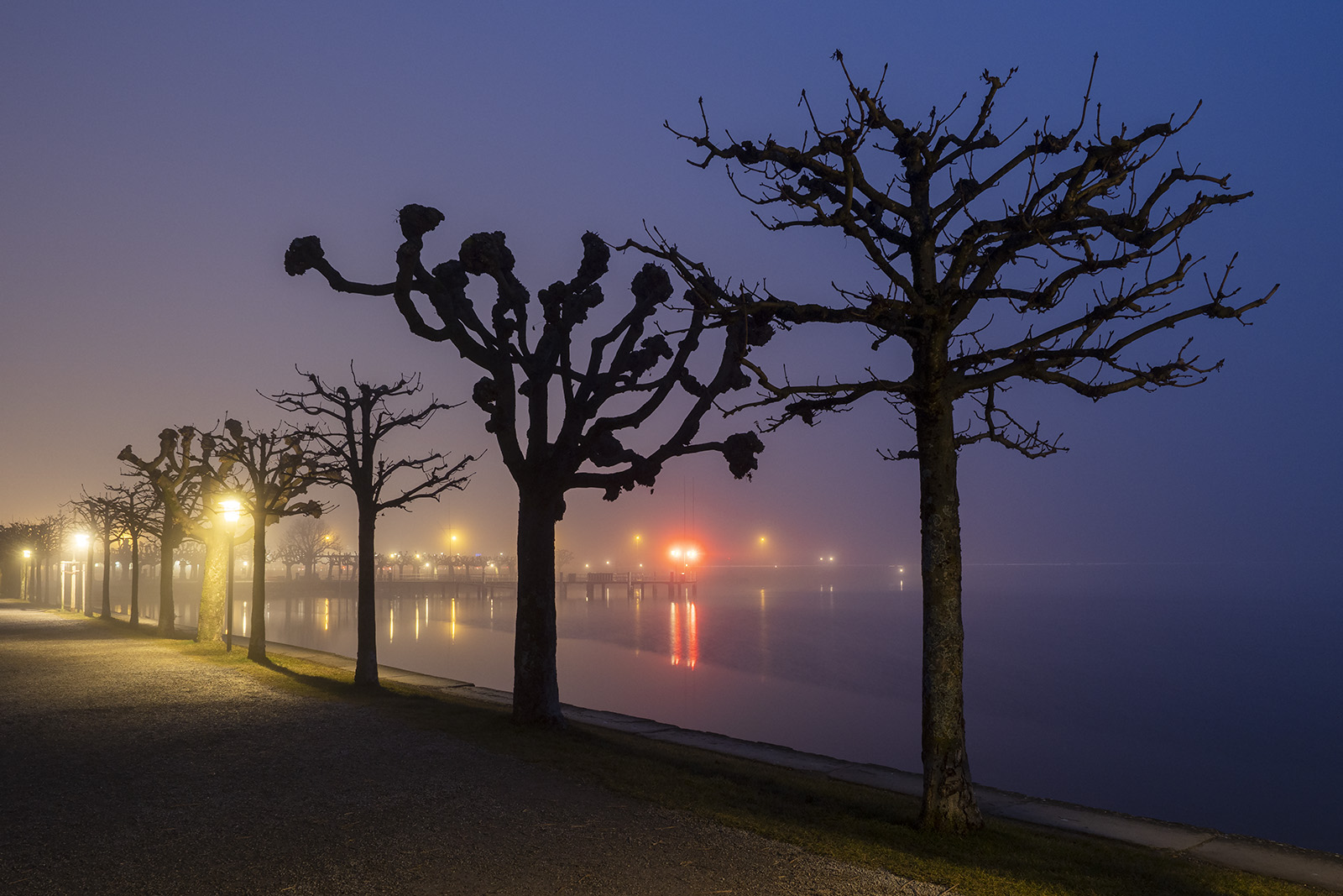 Read more about the article Rapperswil im Nebel