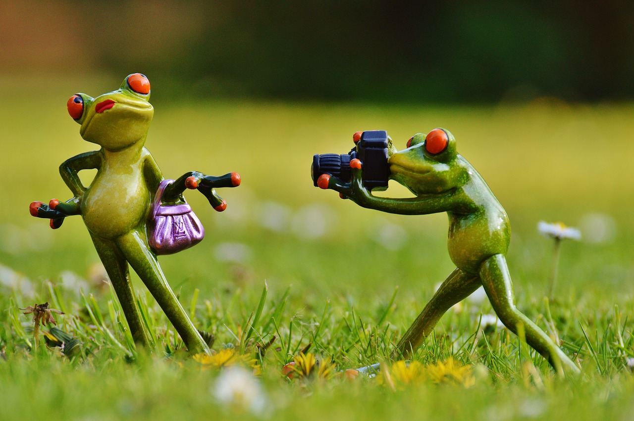 Mehr über den Artikel erfahren Fotoclub Zürisee nimmt wieder Fahrt auf