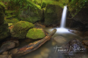 Moosbewachsene Steine