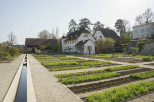 Makro Zeit!  Blumen und Pflanzen
