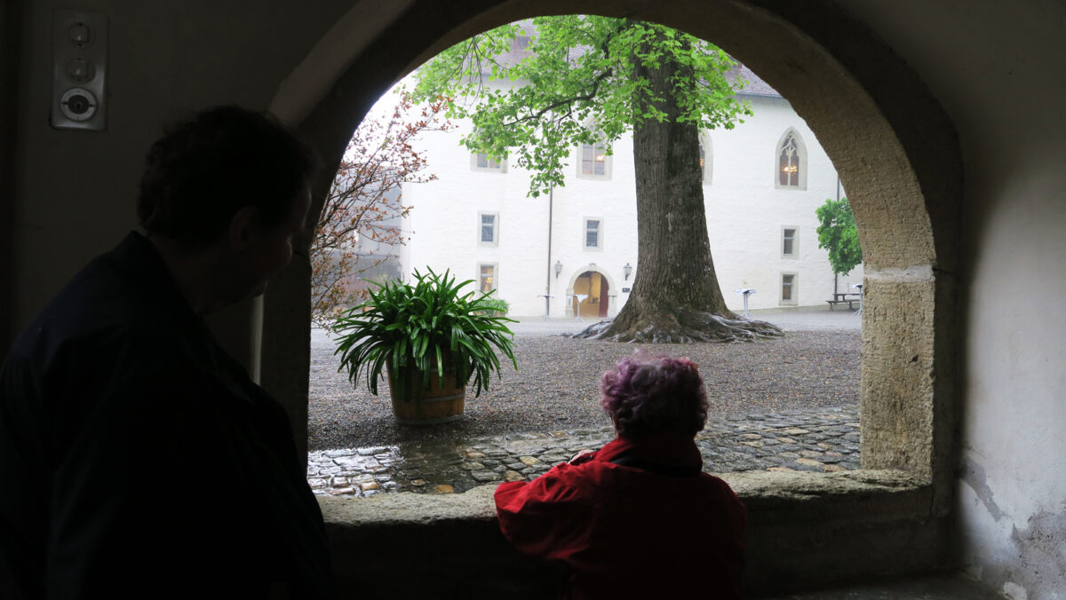 Regen