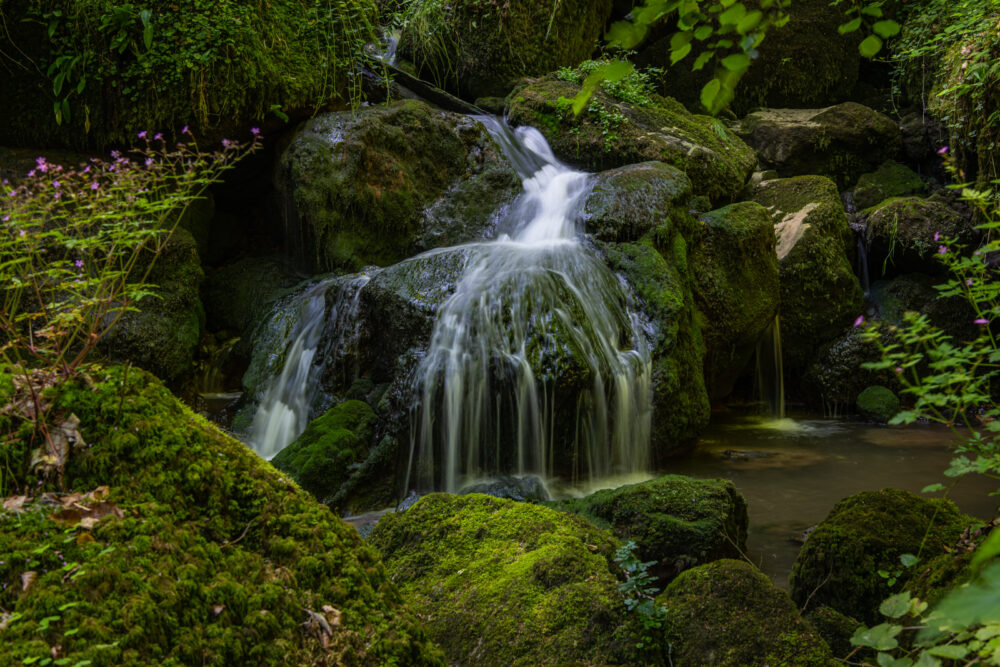 Read more about the article Chastelbachtal – Wasserfallfotografie 11.06.2022