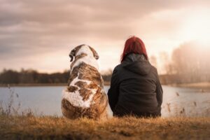 Hundefotografie