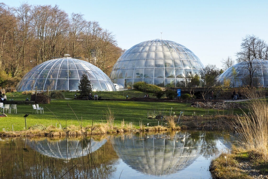 Botanischer Garten Zürich