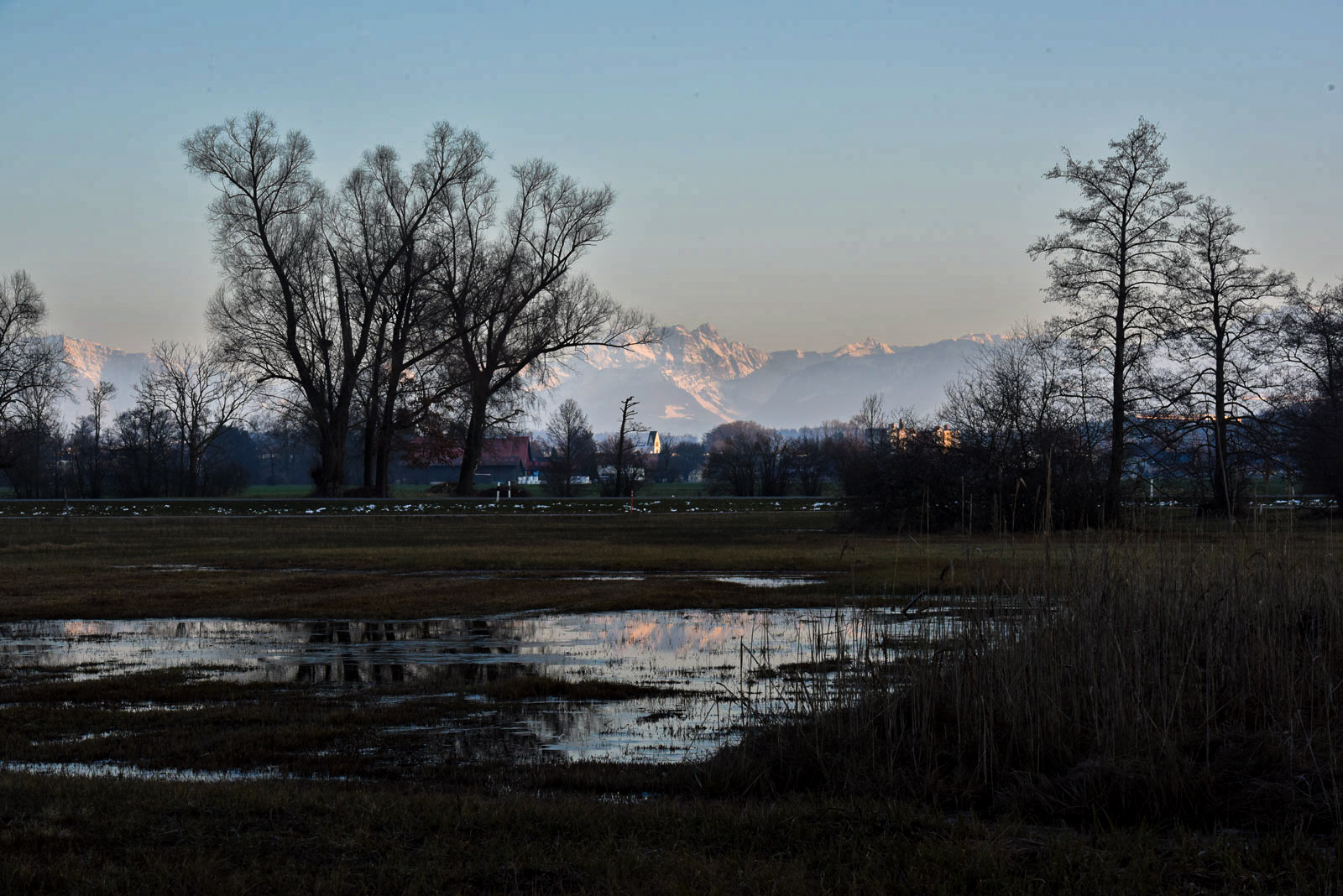 Naturstation Silberweide im Winter