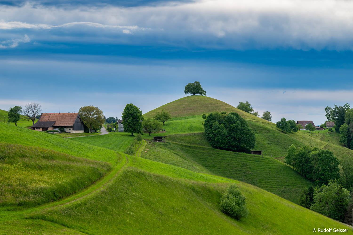Mehr über den Artikel erfahren Geheimnisvolle Drumlins 24.05.2025