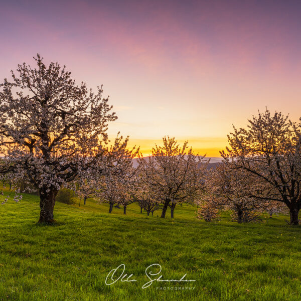 Foto-Tour durchs Baselland mit Start in Solothurn