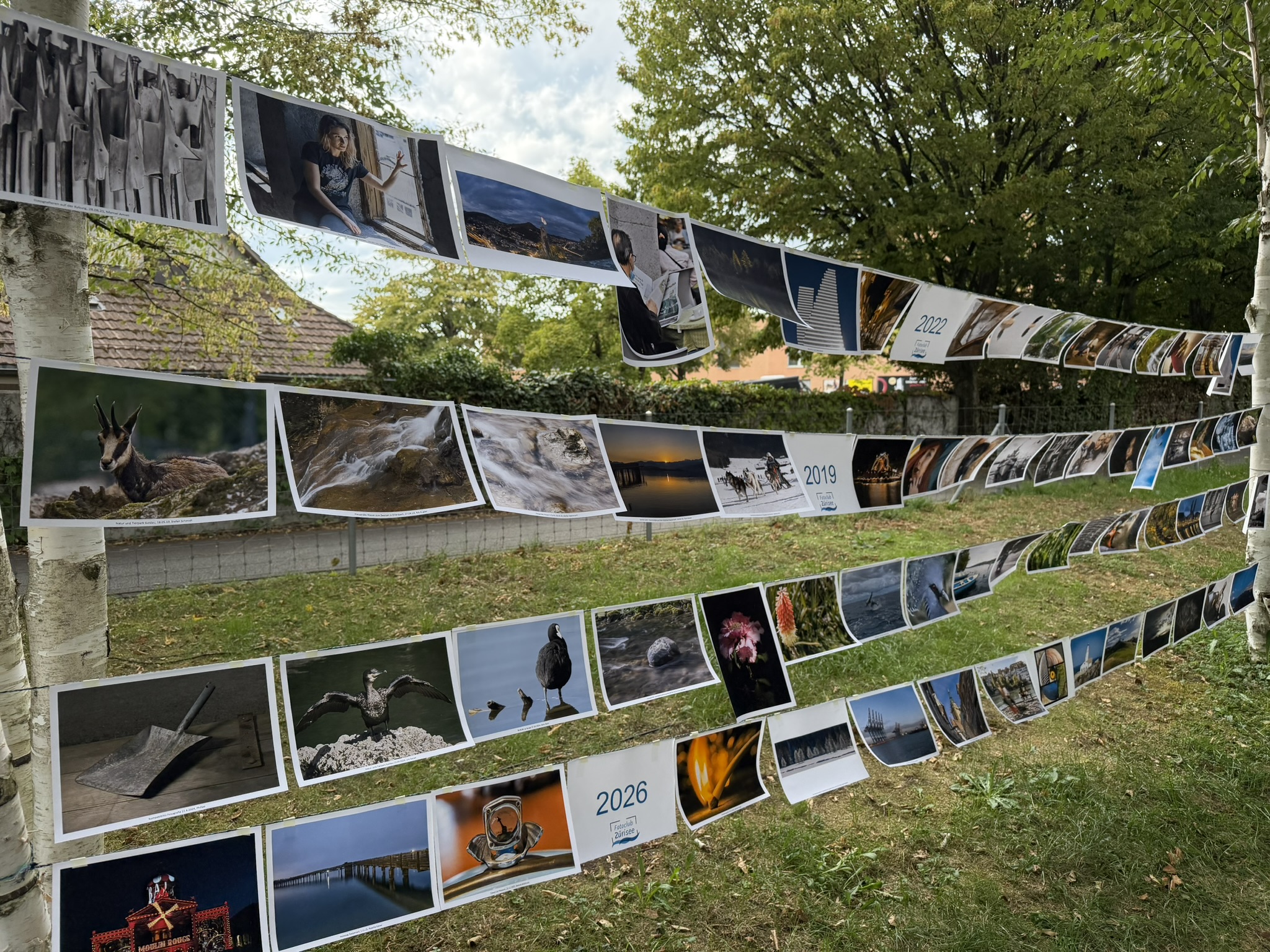 Fotografien des Fotoclubs Zürisee an einer Ausstellung im Freien