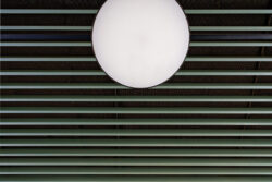 Irene Chaudhry