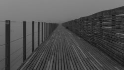 Claudia Tobler