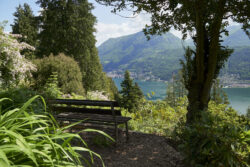 Rosetta Geiser
