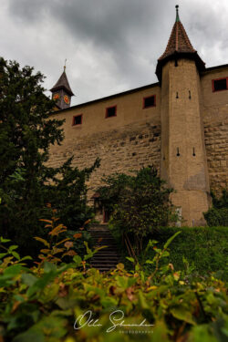 Oliver Streicher