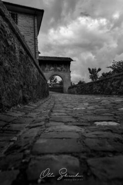 Oliver Streicher