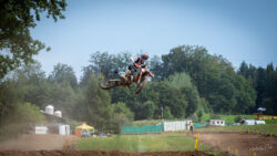 Daniel Gut