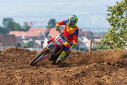 Daniel Gut