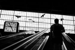 Foto aus dem Album Street Photography in Zürich, 20.07.19
