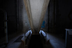Janic Wermuth