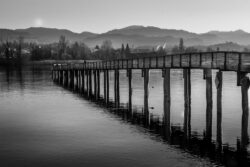 Toni Noser
