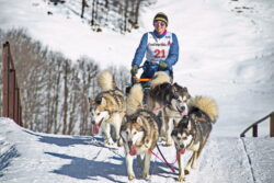 Nik Kugler