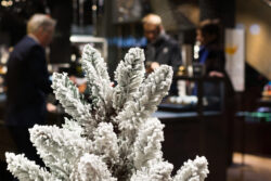 Katharina Bakic