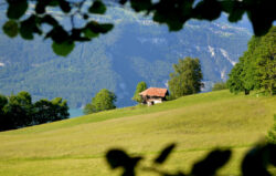 Foto aus dem Album Foto-Wochenende Berner Oberland, 09.06. bis 11.06.17