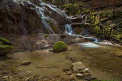 Foto aus dem Album Wildnispark Zürich, 25.03.17