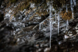 Foto aus dem Album Schnee und Eis Fotografie im Glarnerland, 04.02.17