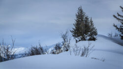 Foto aus dem Album Schnee und Eis Fotografie im Glarnerland, 04.02.17