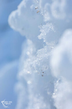 Foto aus dem Album Schnee und Eis Fotografie im Glarnerland, 04.02.17