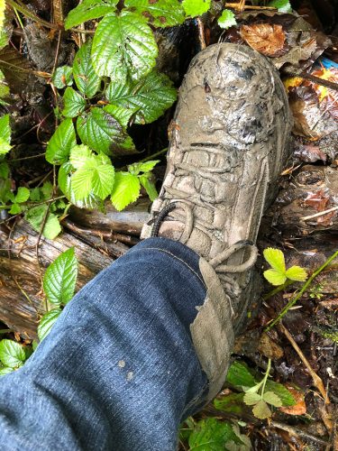 Schuh Schuh