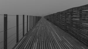 Claudia Tobler