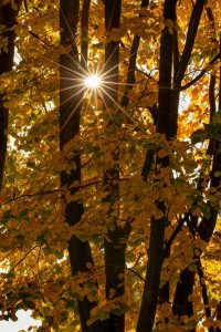 Uli Wrabetz
