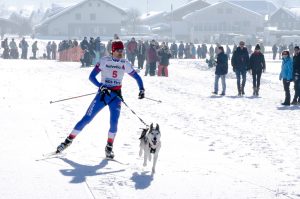 Andre Griffel